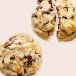 chocolate chip